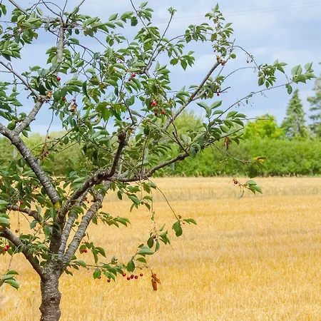 Ahoi-marie * Blekendorf